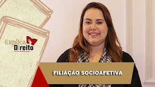 Explica Direito Filiação Socioafetiva  2019 [upl. by Fisa]