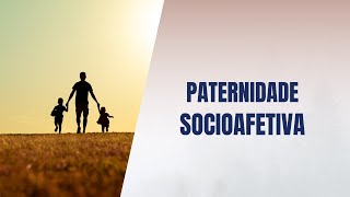 Paternidade socioafetiva [upl. by Langdon499]