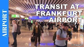 TRANSIT WALK AT FRANKFURT Airport FRA Terminal 1  Connection Flight Transfer Arriving amp Departing [upl. by Atteuqahc891]